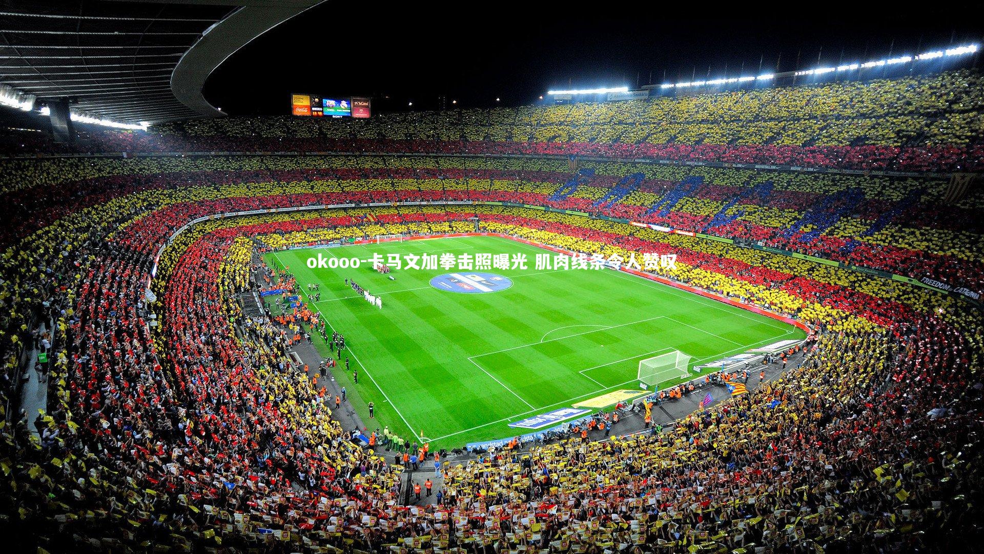 卡马文加拳击照曝光 肌肉线条令人赞叹